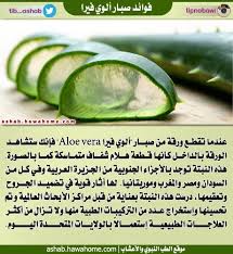 فوائد نبات الصبار الطب النبوي والاعشاب Health Advice Health Smoothies