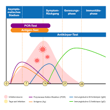 This guidance can help healthcare providers make the most effective use of antigen tests in different situations. Coronavirus Schnelltest Online Kaufen