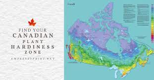 How To Find Your Canadian Plant Hardiness Zone Empress Of Dirt