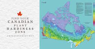A trusted name for professional landscape design & construction. How To Find Your Canadian Plant Hardiness Zone Empress Of Dirt