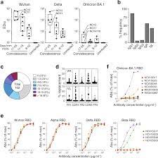 Structural basis of spike RBM-specific human antibodies counteracting broad  SARS-CoV-2 variants | Communications Biology