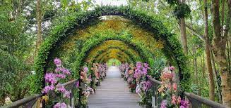 Get your team aligned with. Malaysia S Largest Flower Garden Festival Royal Floria Putrajaya Rfp Biz Leisure