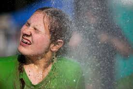 Dale Fall Festival Hog Wrestling