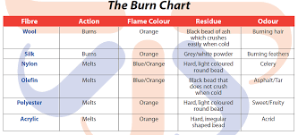 An Introduction To Carpet Care Part 1