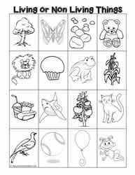 Learn about living things and nonliving things in this kid's science video! Living And Non Living Things Worksheets