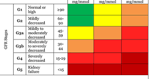 Estimated Glomerular Filtration Rate Egfr National