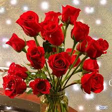 Https Encrypted Tbn0 Gstatic Com Images Q Tbn 3aand9gcr69lb54fqfl0z09f6oxezqprxmv1si446zya Usqp Cau