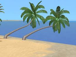 Flowers set for the sims 4 by dara sims download id: Mod The Sims Realistic Palm Cocos Nucifera Beach