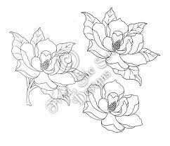 Fred She Said Designs The Store Magnolia Silk Painting Art Pictures Flower Outline