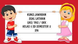 Soal essay ipa dan jawabannya. Soal Uas Ipa Kelas 5 Sd Semester 2 Tahun 2021 Kunci Jawaban Latihan Pas Ukk Pilihan Ganda Essay Tribun Pontianak