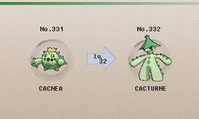 What Level Does Cacnea Evolve Alqurumresort Com