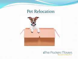 Let global pet relocation handle your pet's move! At Thepackersmovers Com Get Best Quotes For Movers And Packers Charges In Hyderabad Ppt Download