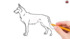 Are you looking for the best images of german shepherd drawings in pencil? How To Draw A German Shepherd Step By Step Easy For Beginners Simple Dog Drawing Tutorial Youtube