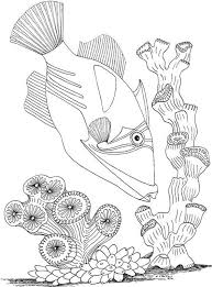 Disney princess aurora with a rose coloring page printable happy halloween pumpkin and mickey mouse coloring pages for kids legos star wars darth … Free Seascape Coloring Pages Fish Coloring Page Coral Reef Drawing Coloring Pages Inspirational