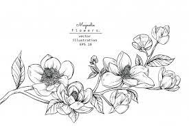 Resultado De Imagen De Morris Flower Vector Floral Botany Flower Drawing Magnolia