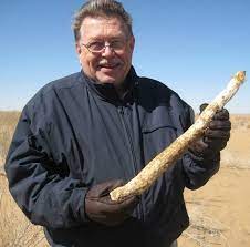 Greener homemade disinfecting wipes without the harmful chemicals! 33 Ways To Kill Pests Without Pesticides Kill Any Insect Spider Or Bug Fast With All Natural Pest Control Methods Organic Pest Control Kindle Edition By Tvedten Stephen Crafts Hobbies