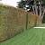 Syzygium Pinnacle