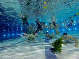 Davis Masters Water Polo