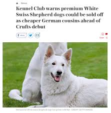 Pedigree Dogs Exposed The Blog White Supremacy Alive And Well At The Kennel Club
