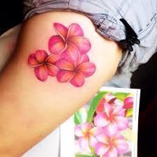 Image Result For Plumeria Tattoo Plumeria Tattoo Plumeria Flower Tattoos Frangipani Tattoo