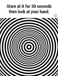 Is This What It Feels Like To Be High Funny Illusions Cool Illusions Cool Optical Illusions