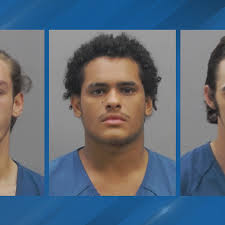 'Dumb luck' kept men from ending up charged with murder, they still face  life in prison