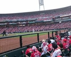 マツダスタジアム 砂かぶり席の画像