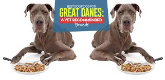 The ideal fat range for puppies is about 12% to 18%; Best Dog Food For Great Danes Of 2020 Top 6 Vet Recommended Brands