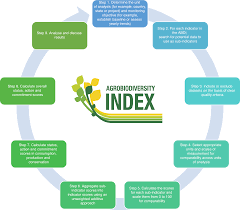 Request pdf | on jan 1, 2013, robin h. Agrobiodiversity Index Scores Show Agrobiodiversity Is Underutilized In National Food Systems Nature Food