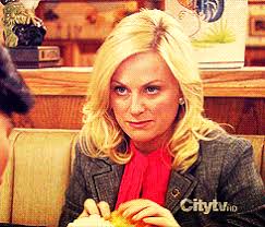 We need to remember what's important in life: No Park Too Big Leslie Knope Itsafictionalreality