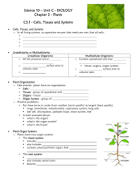 Plants are made of organs like stems, roots and leaves, they work together to make organ systems. File Mr Downing Science 10