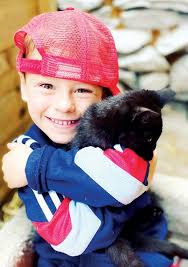 KILLARNEY ADVERTISER WK41 2024 by Killarney Advertiser