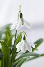 Pin On Season Spring