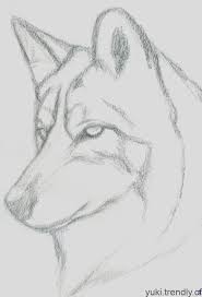 20 Einfache Malanleitungen Fur Anfanger Coole Sachen Zum Schrittweisen Zeich Dessin Loup Facile Dessin De Loup Dessin