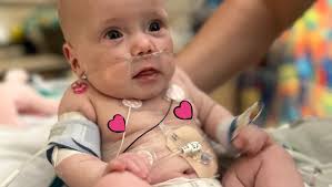 Fundraiser for Michael Higgins by Amy Mcintire : Support for Walker June