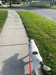 Profile for Furry Family Care