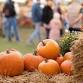 Fall Festival @ Cape Carteret Town Hall