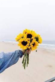 خلفيات ايفون ورد اصفر iphone wallpapers download sunflower bouquets sunflower wallpaper beautiful landscape wallpaper