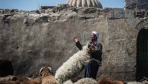 Eid al adha 2021 celebration: Keep Eid Al Adha Meat Safe From Covid 19