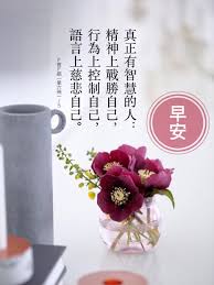 pin by 瑞英曾on 早安 午安 晚安 good morning beautiful pictures morning greeting good morning beautiful