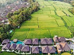 Kayangan Villa Ubud Tegalalang Harga Terbaru 2021
