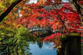 Menikmati tempat yang indah bersama dengan orang terdekat, keluarga, teman merupakan kegiatan yang menyenangkan. Terbaru 30 Pemandangan Indah Musim Bunga Gambar Pemandangan Keren