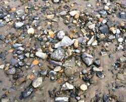 Low Tide Picture Of Wallis Sands State Beach Rye