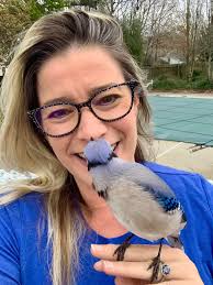 This made my day! A Blue Jay picking peanuts off my lap....! 💙🐦🥜