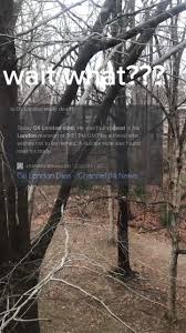 He was found dead in his london mansion at. Troubled Bitch Created By Oli London Popular Songs On Tiktok