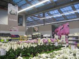Schley Gartencenter In Gelsenkirchen Eroffnet Gabot De