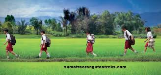 We did not find results for: Getting Here Sumatra Orang Utan Treks