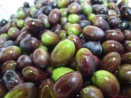Occorrono olive completamente mature e nere. Olive Guida Alla Conservazione Secondo I Metodi Contadini