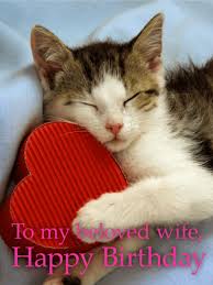 24 posts related to funny cat lover birthday card. Cat Happy Birthday Cards Birthday Greeting Cards By Davia Free Ecards