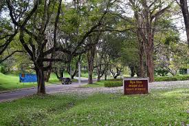 University Peradeniya Photos Free Royalty Free Stock Photos From Dreamstime An (unofficial) interim transcript template for undergraduates of eng.pdn.ac.lk (faculty of engineering, university of peradeniya). university peradeniya photos free